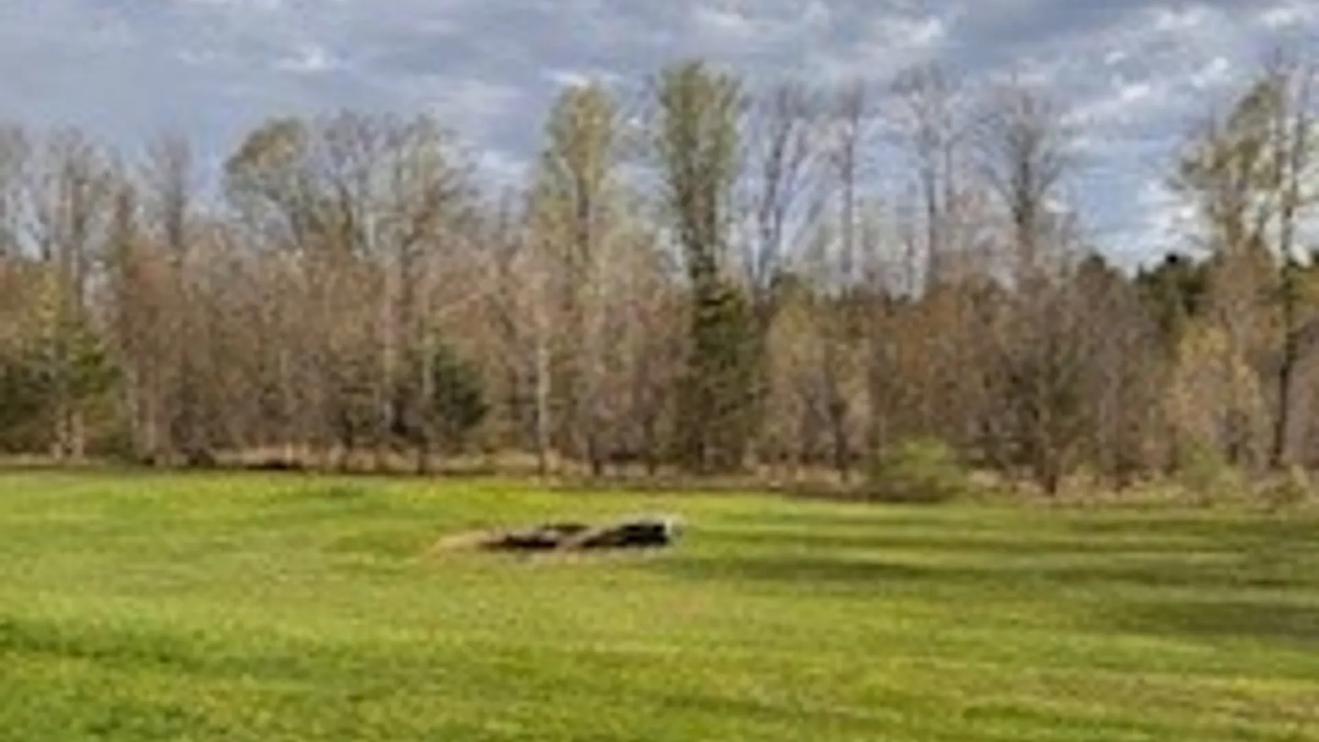 Property at 1076 Curtiss Road, Camden, NY 13316 5