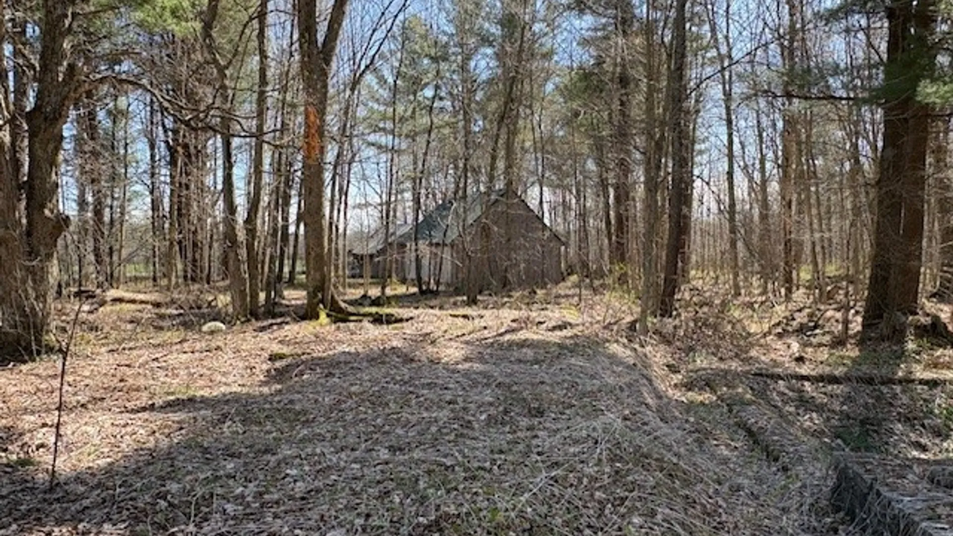 Property at 16637 Witt Road, Brownville, NY 13615 6