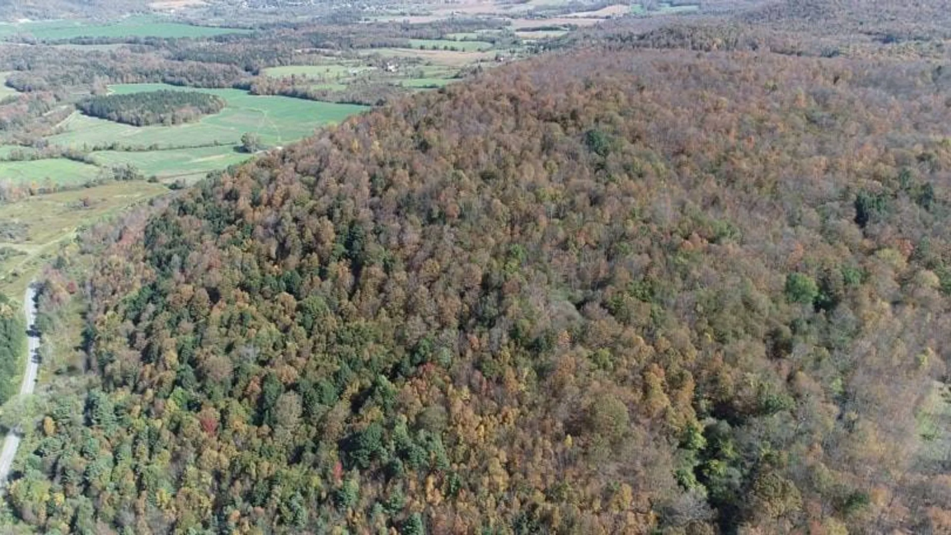Property at 0 County Highway 18A, West Winfield, NY 13491 3
