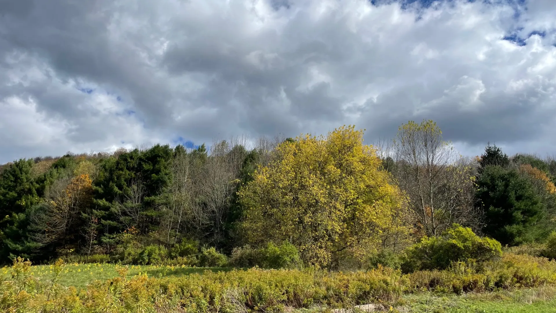Property at 0 County Highway 18A, West Winfield, NY 13491 4