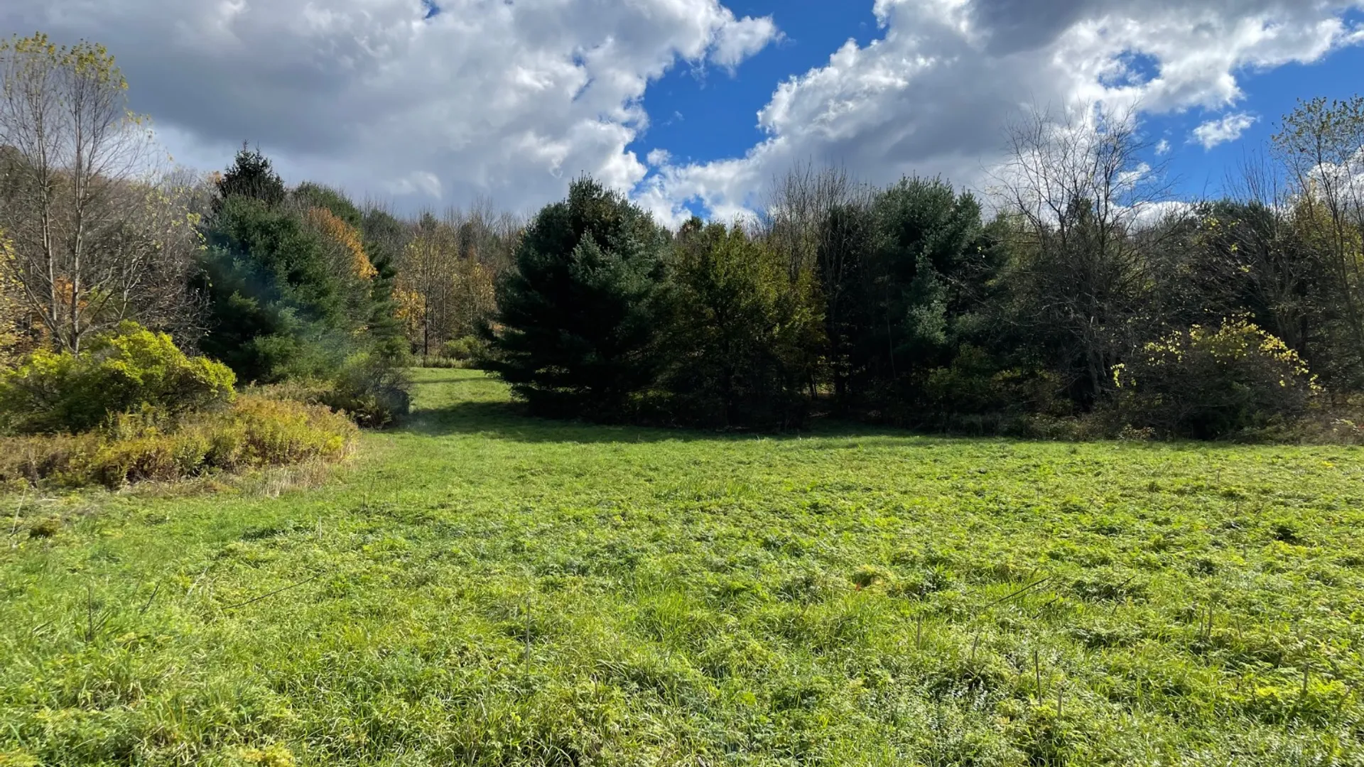 Property at 0 County Highway 18A, West Winfield, NY 13491 5