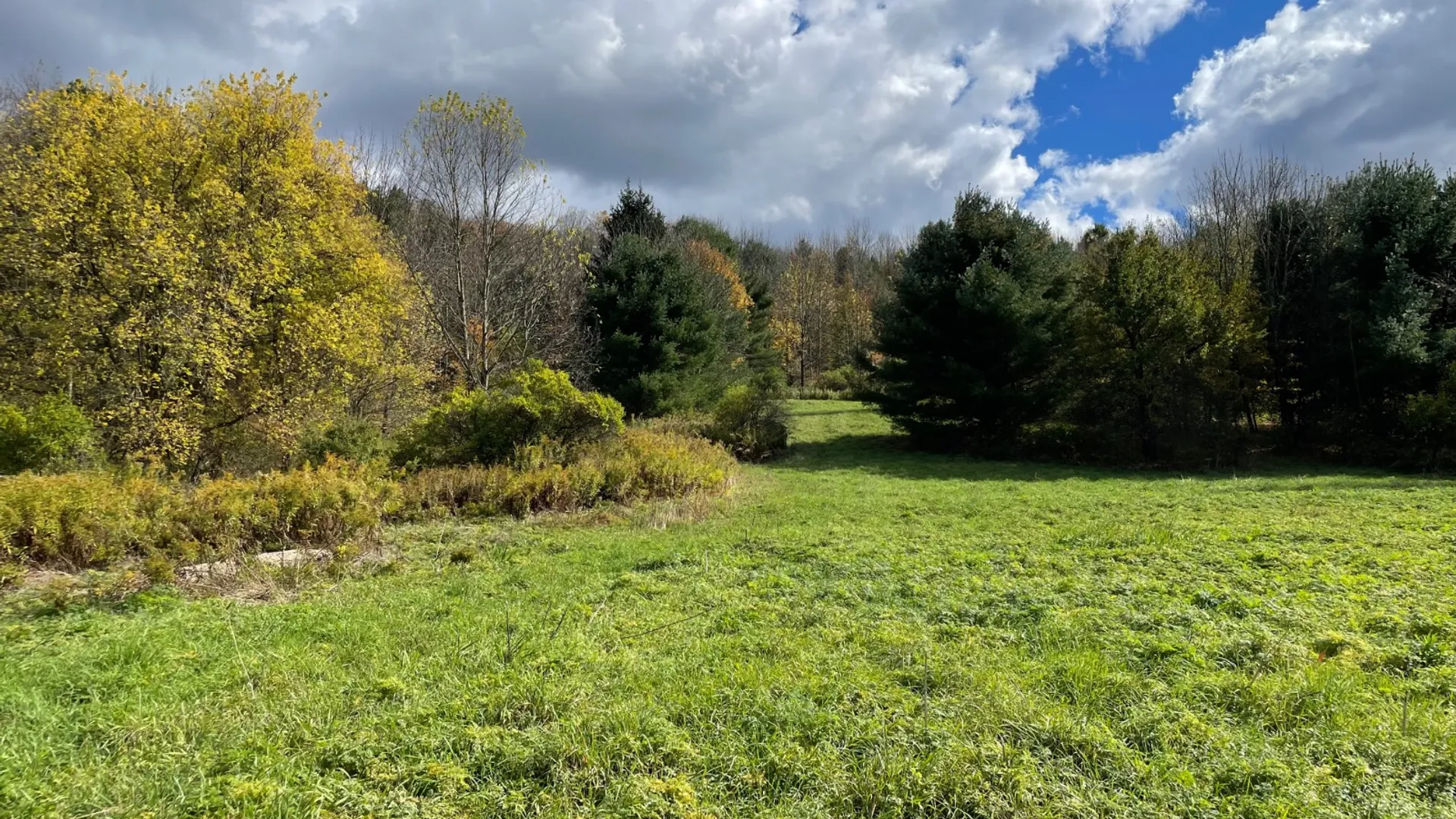 Property at 0 County Highway 18A, West Winfield, NY 13491 6