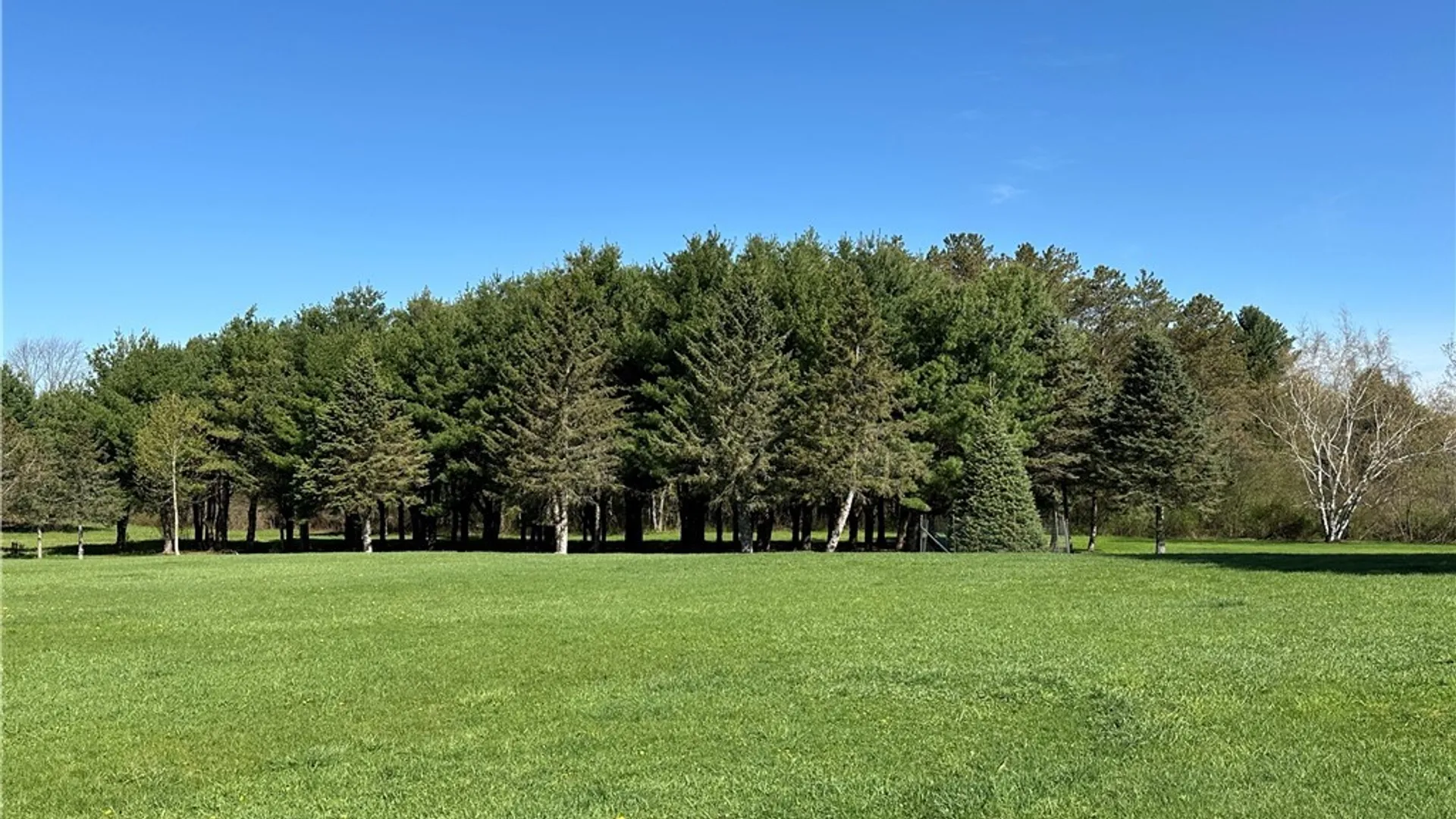 Property at 1879 Grover Road, Aurora, NY 14052 7