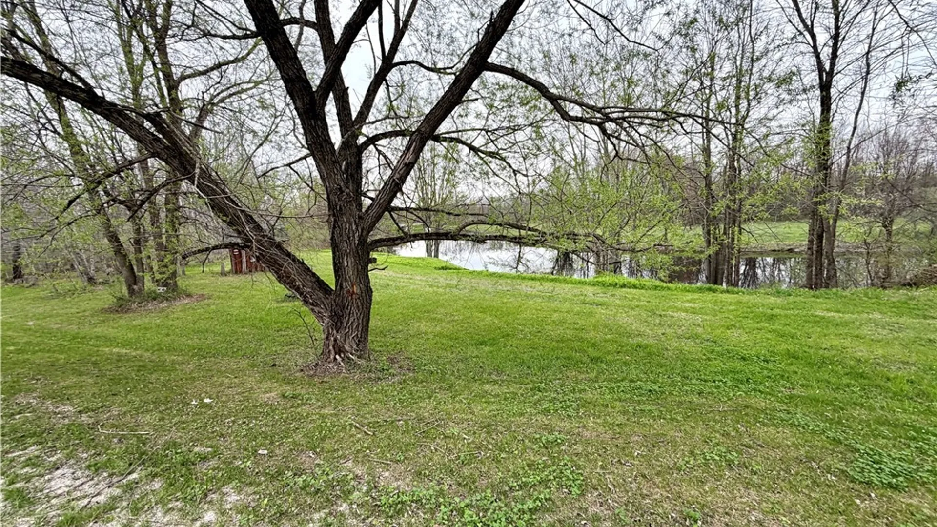Property at 35125 County Route 46, Theresa, NY 13691 9