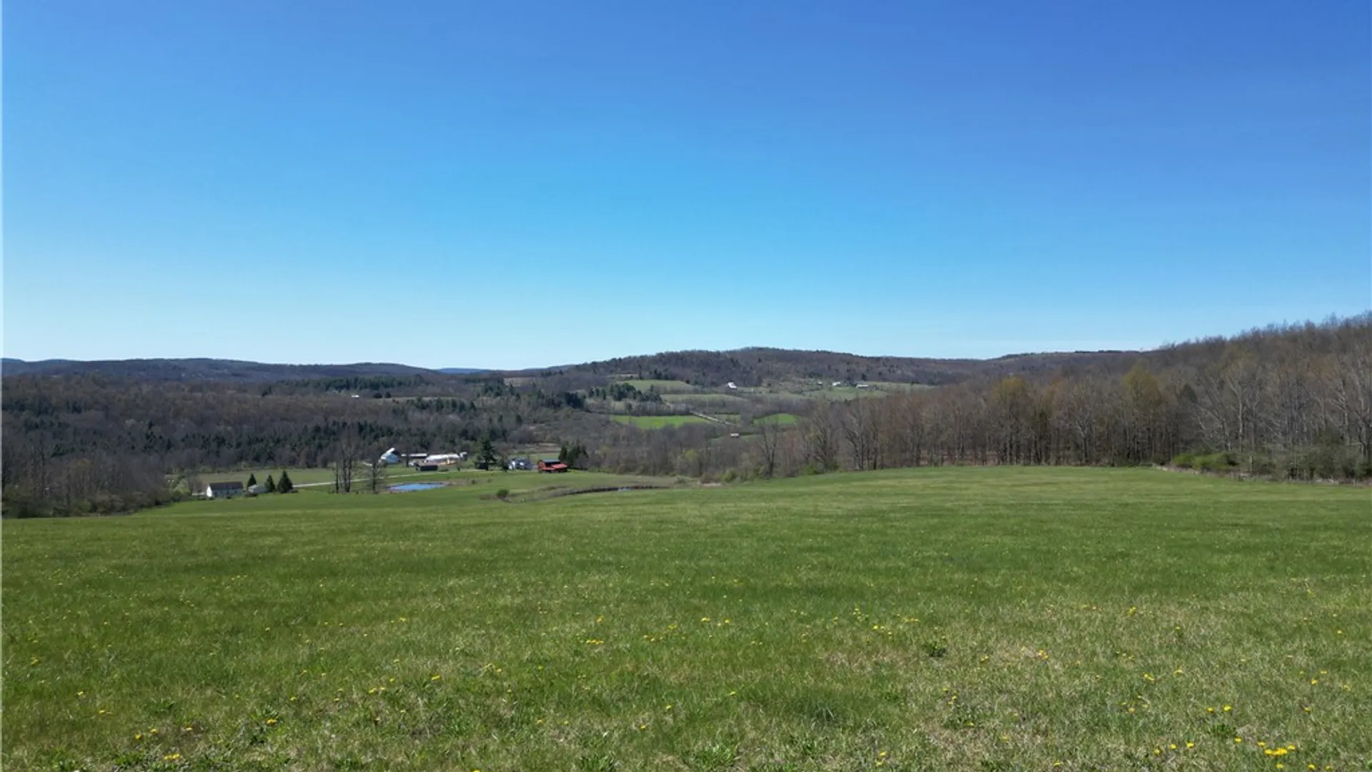 Property at 4601 County Route 82, Woodhull, NY 14898 50