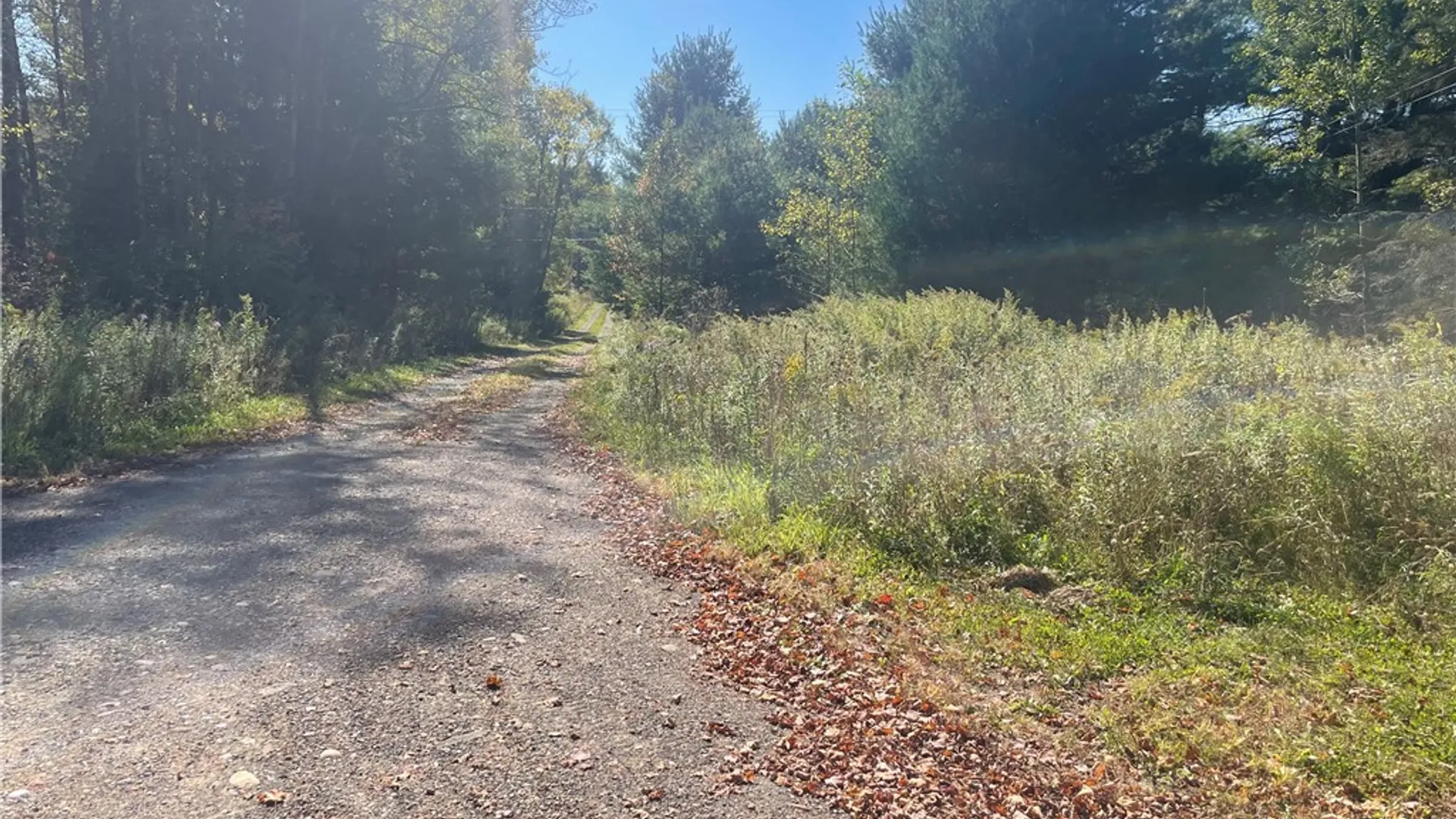 Property at 140 Round Pond Road, Smithville, NY 13841 14