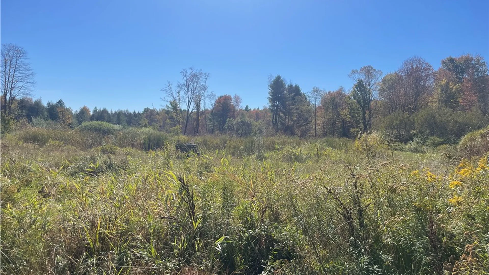 Property at 140 Round Pond Road, Smithville, NY 13841 17