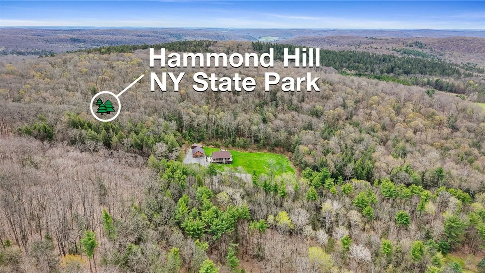 Property at 137 Star Stanton Road, Dryden, NY 13068 50