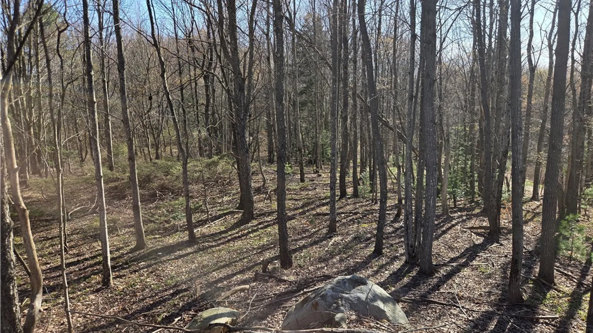 Property at 5008 George Kraeger Road, West Turin, NY 13325 10
