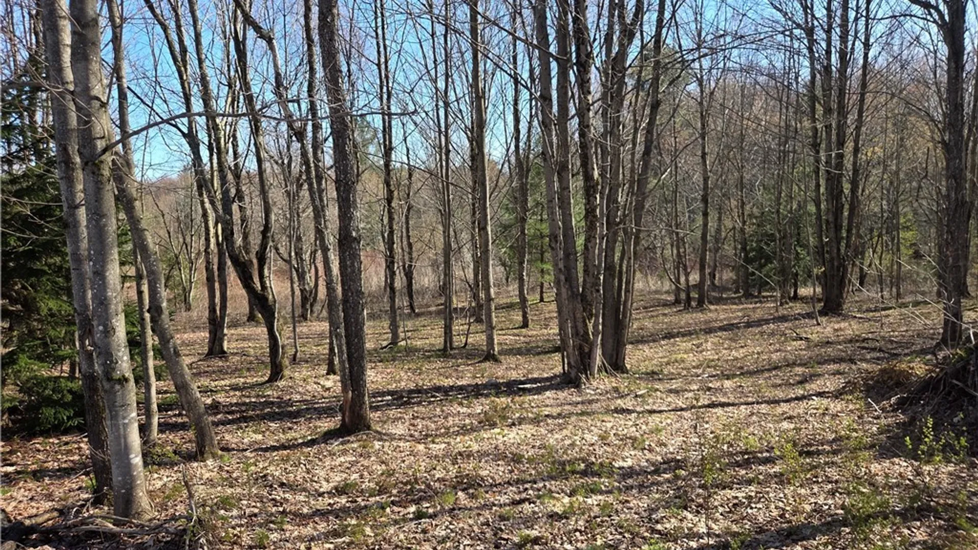 Property at 5008 George Kraeger Road, West Turin, NY 13325 11