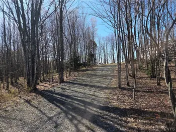 Property at 5008 George Kraeger Road, West Turin, NY 13325