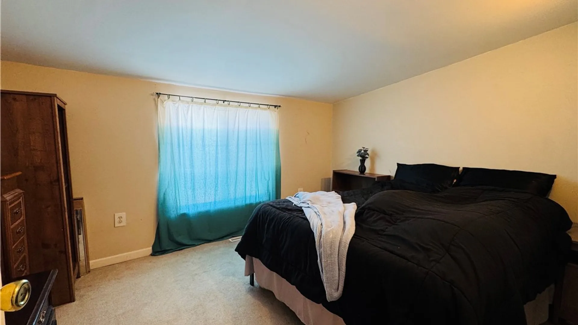 Property at 115 Olmstead Place, Onondaga, NY 13219 19