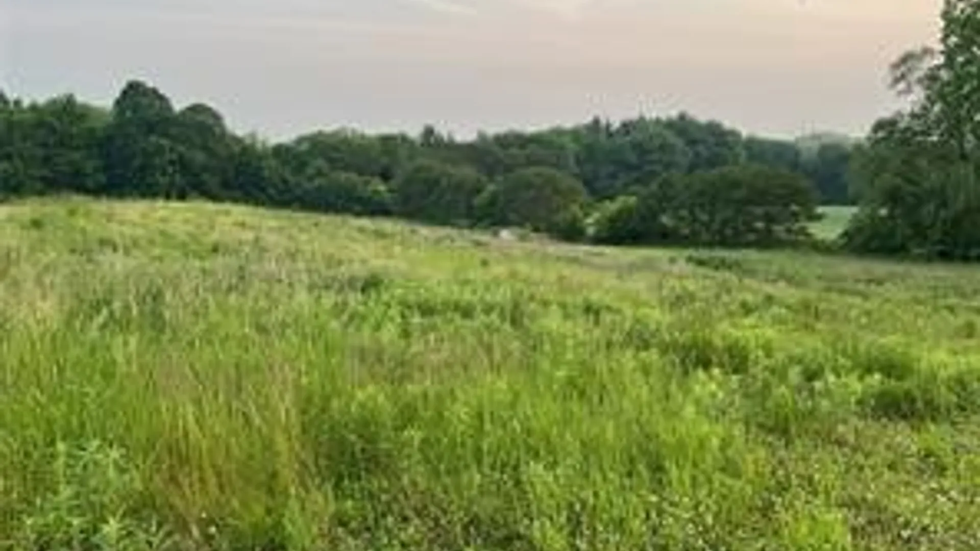 Property at 0 Marbletown Road, Arcadia, NY 14513 4