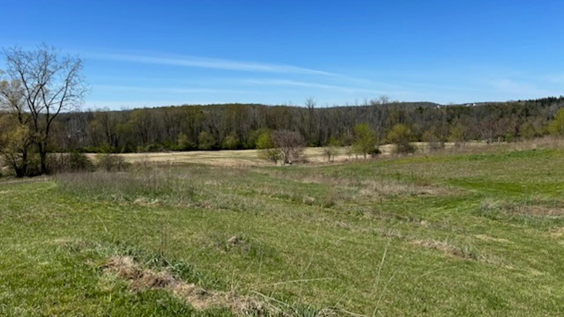 Property at 0 Marbletown Road, Arcadia, NY 14513 7