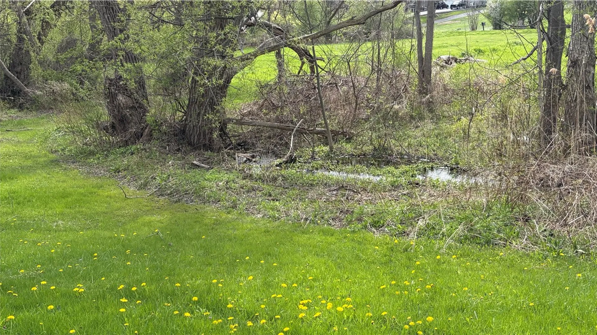 Property at 3719 Middle Cheshire Road, Canandaigua Town, NY 14424 15