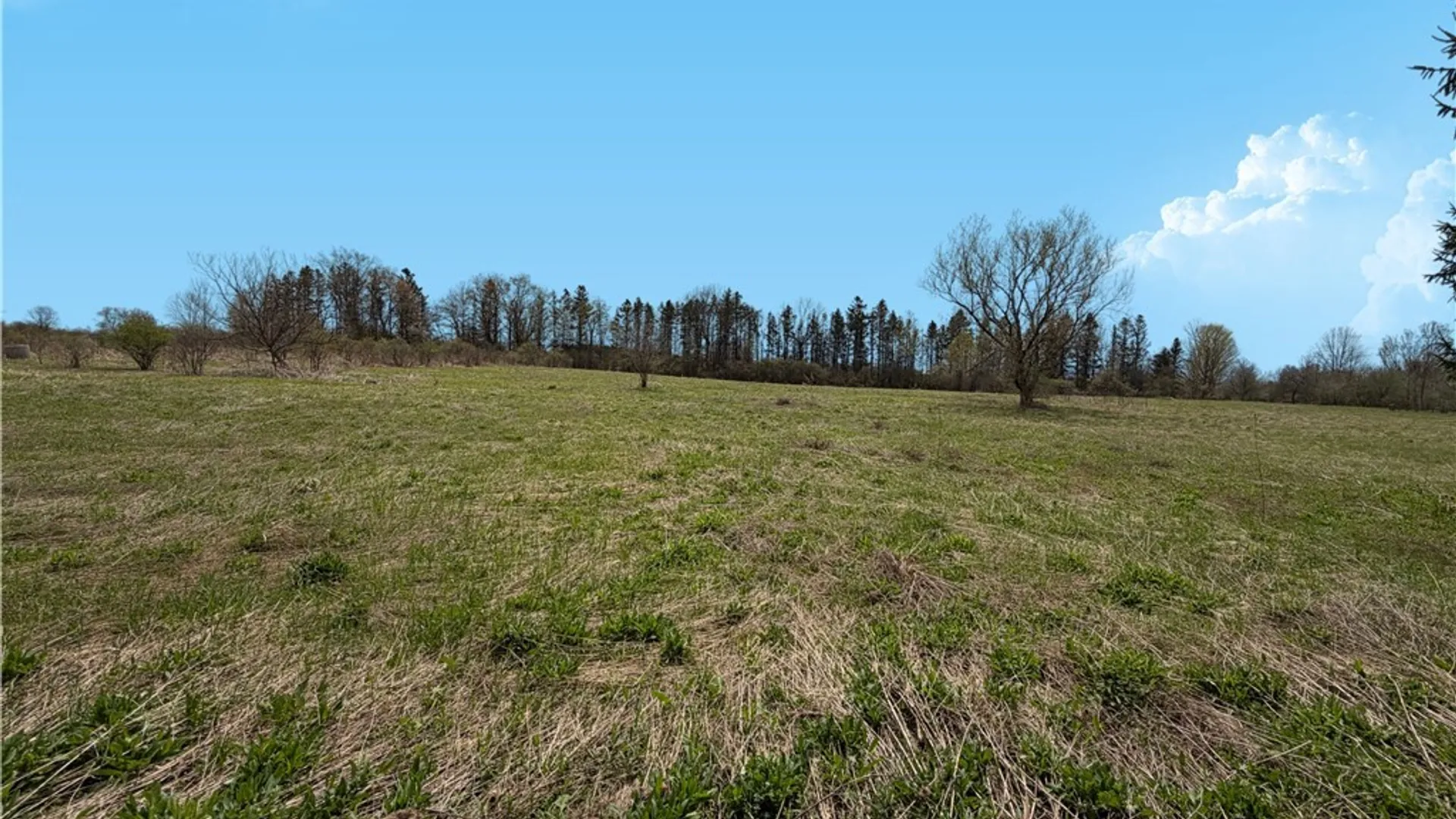 Property at 696 Russia Road, Russia, NY 13431 10