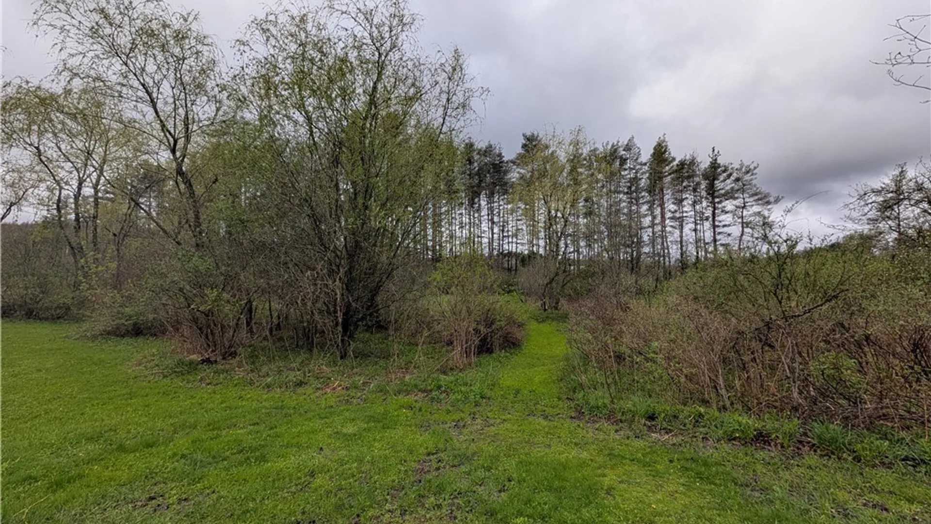 Property at 10451 Edies Road, Ashford, NY 14141 27