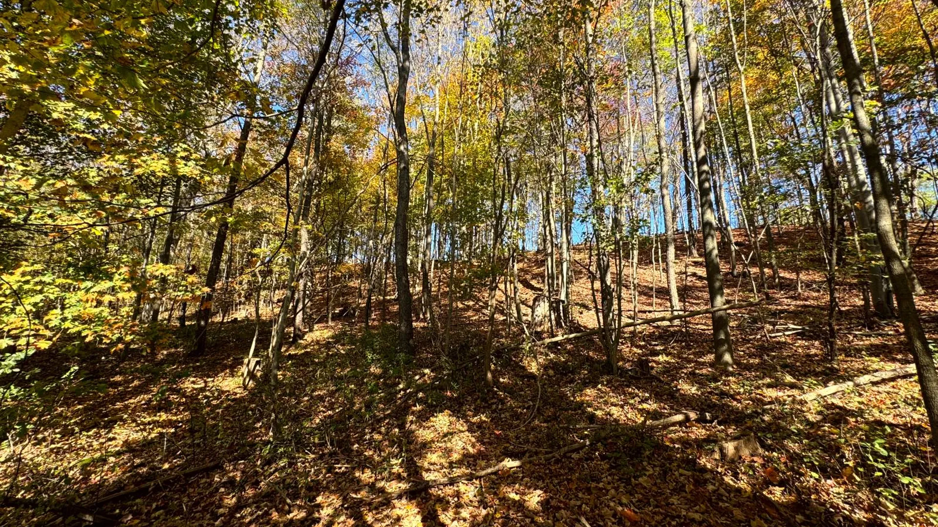 Property at 1.1 County Road 29, New Berlin, NY 13411 11