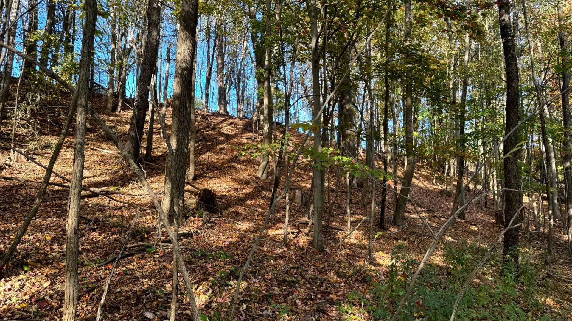 Property at 1.1 County Road 29, New Berlin, NY 13411 12