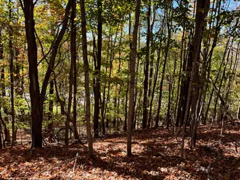 Property at 1.1 County Road 29, New Berlin, NY 13411