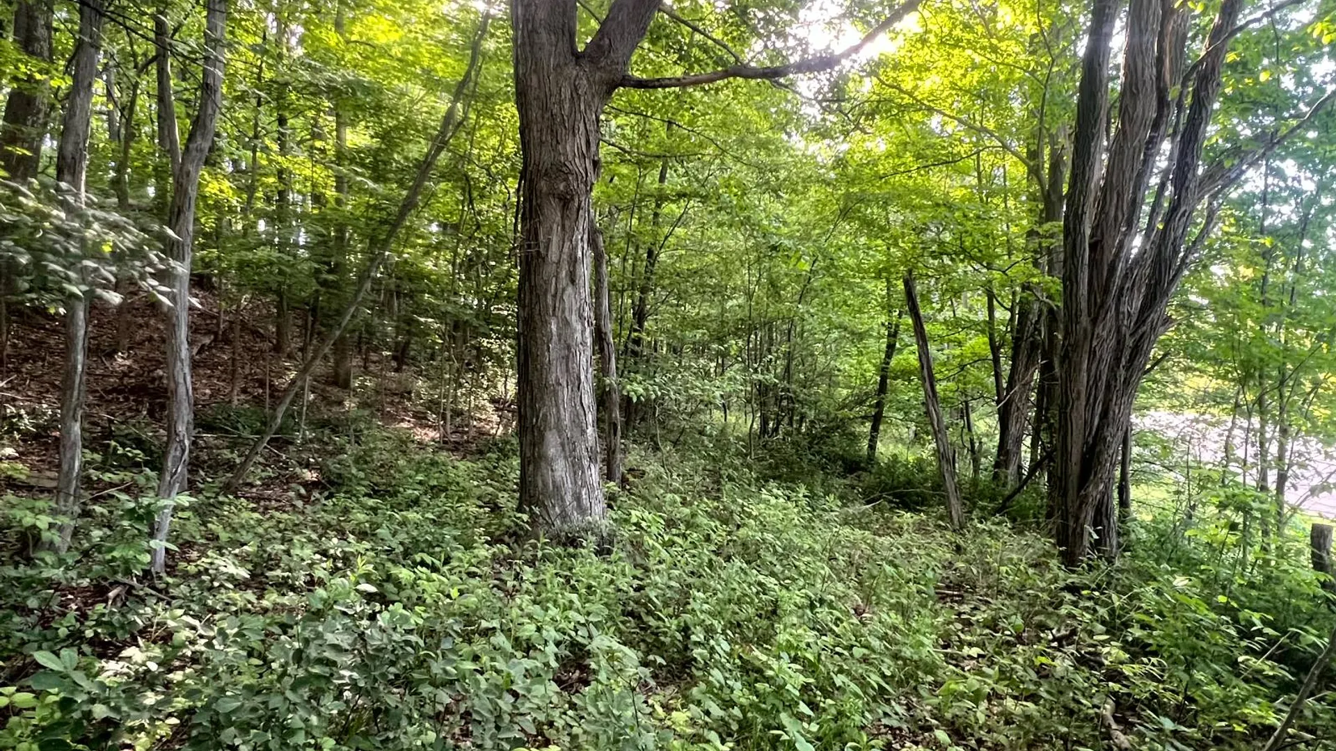 Property at 1.1 County Road 29, New Berlin, NY 13411 22