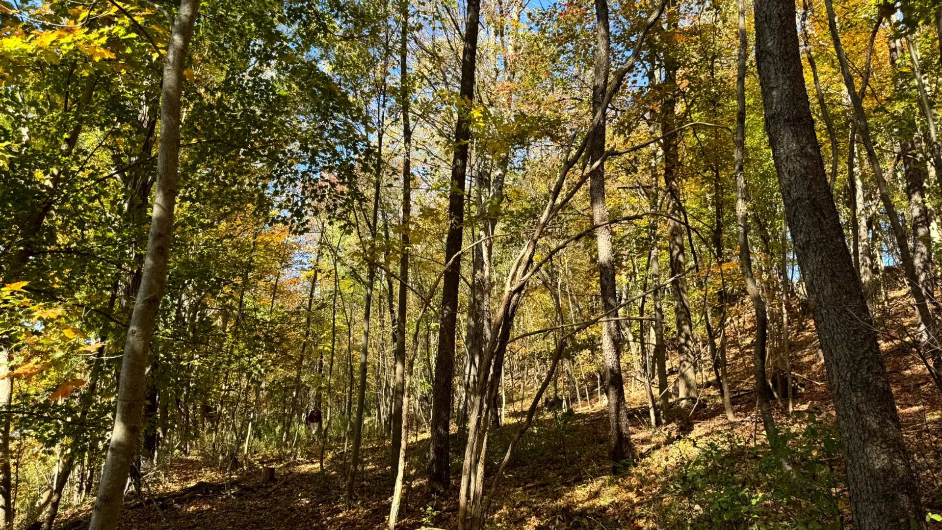 Property at 1.1 County Road 29, New Berlin, NY 13411 3