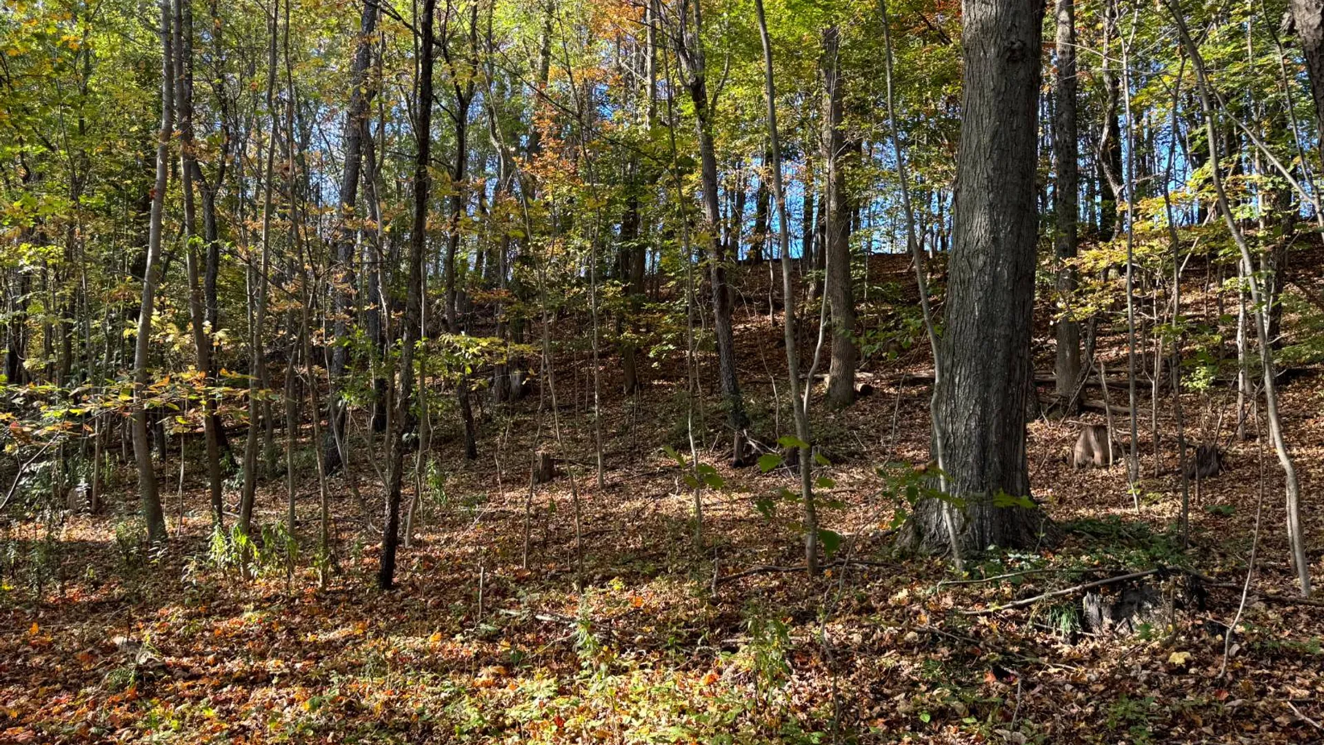 Property at 1.1 County Road 29, New Berlin, NY 13411 6