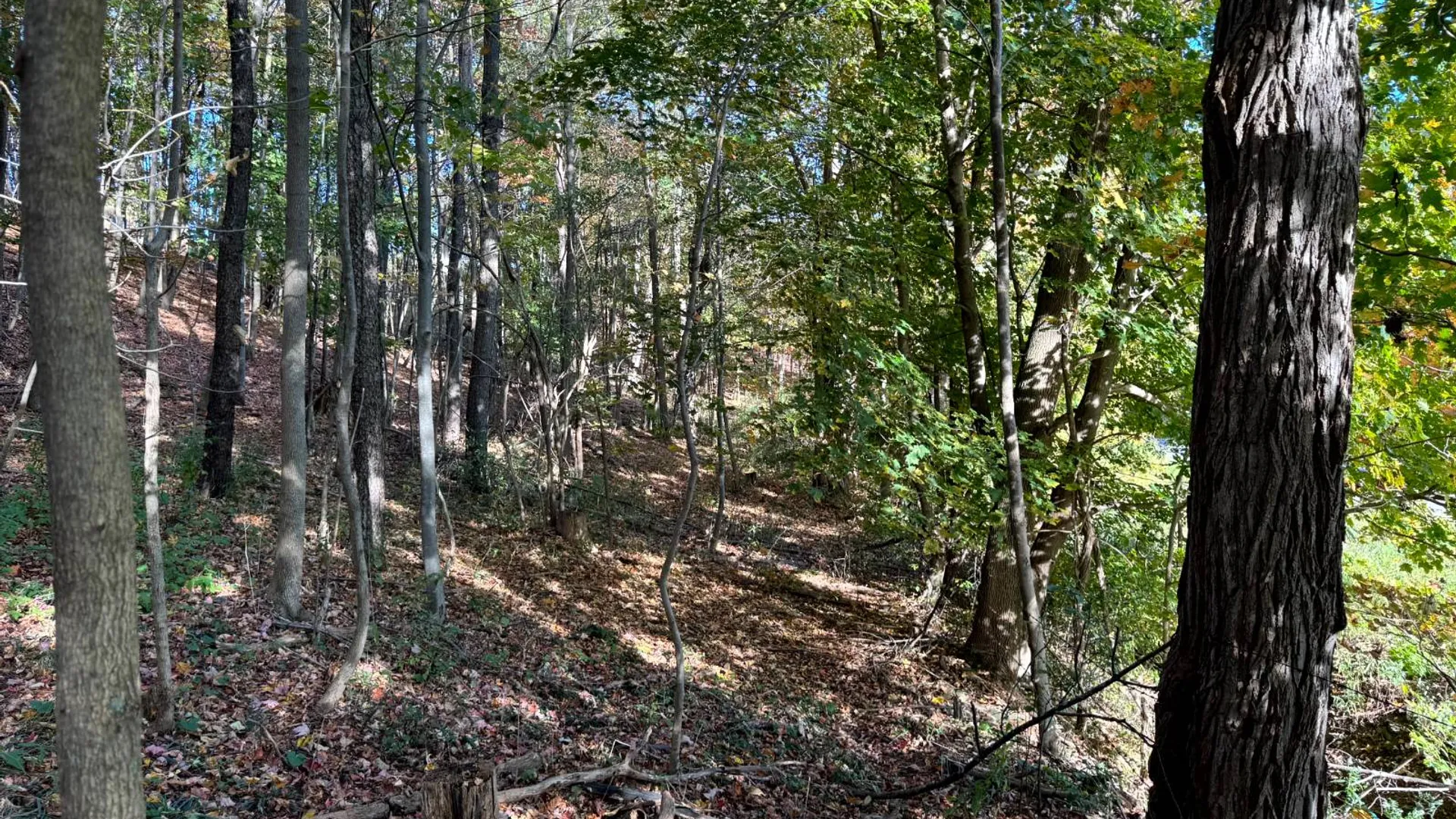 Property at 1.1 County Road 29, New Berlin, NY 13411 7