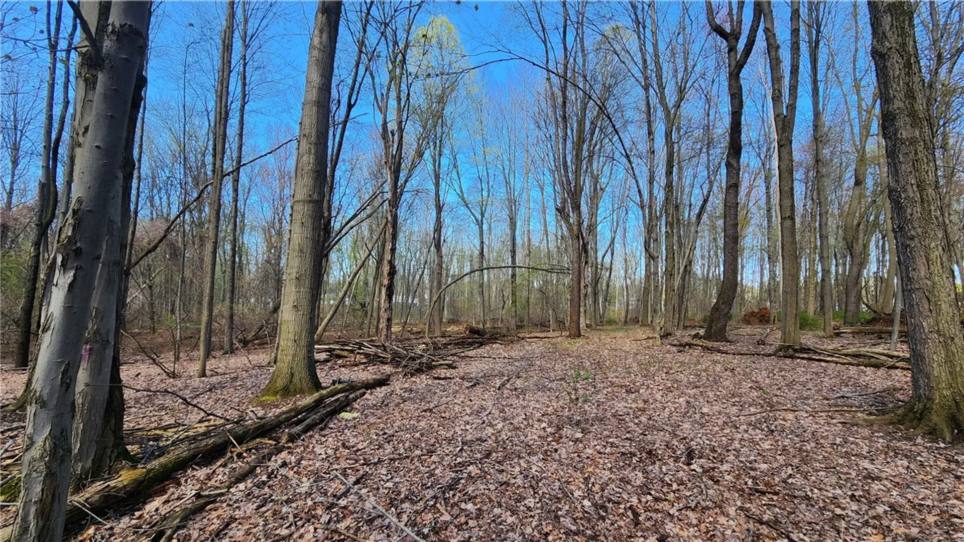 Property at Straub Road, Greece, NY 14626 10