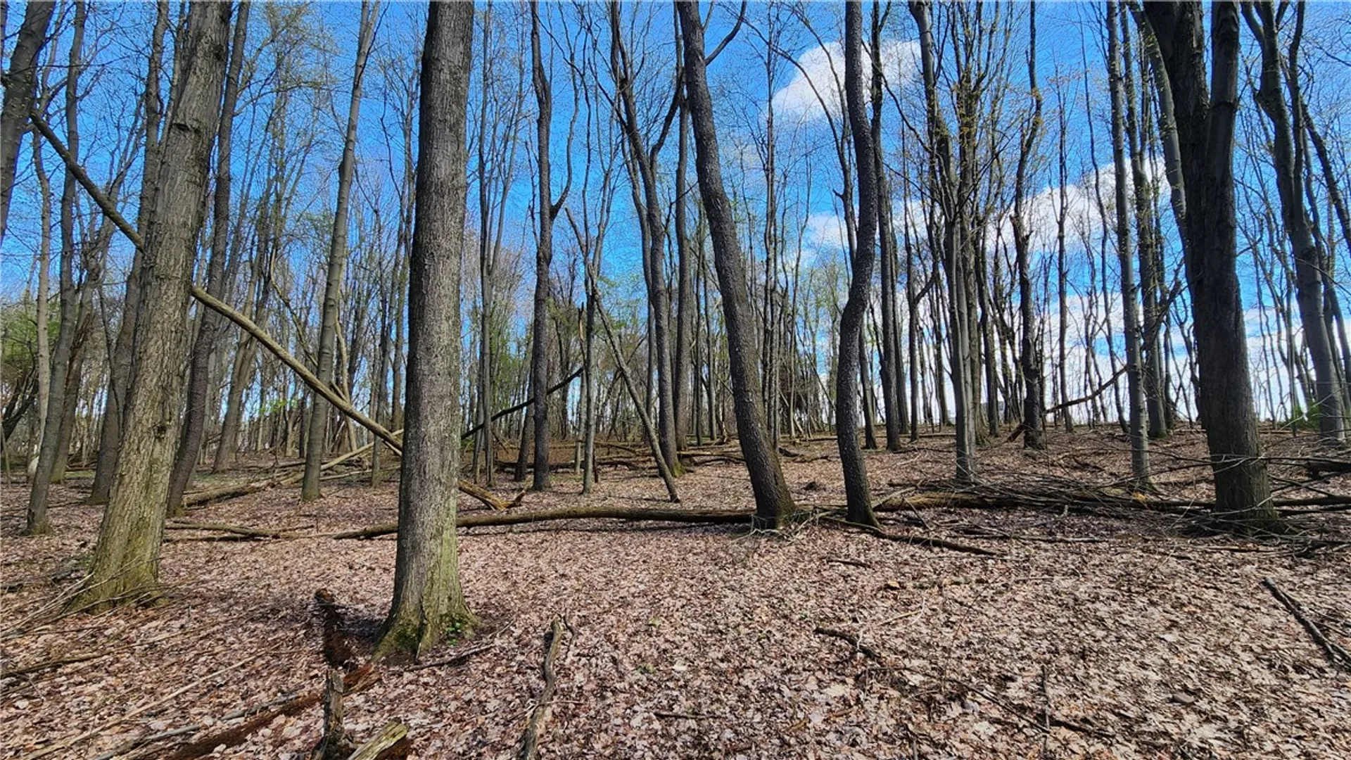 Property at Straub Road, Greece, NY 14626 11