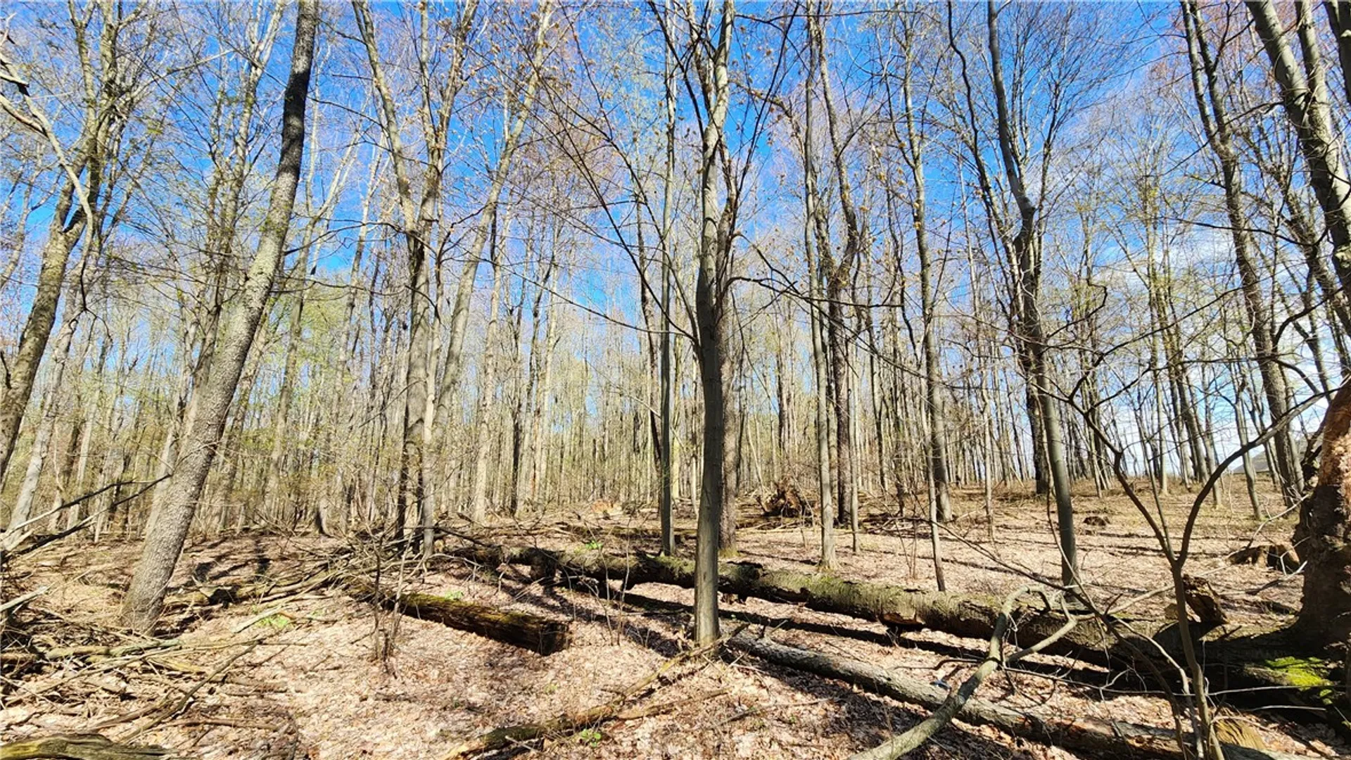 Property at Straub Road, Greece, NY 14626 13