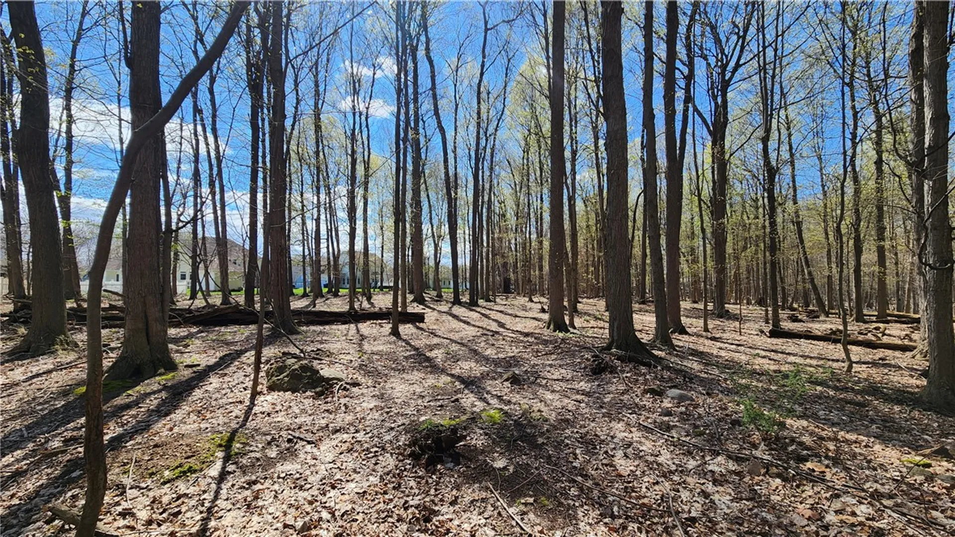 Property at Straub Road, Greece, NY 14626 14