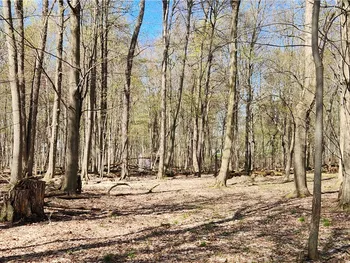 Property at Straub Road, Greece, NY 14626