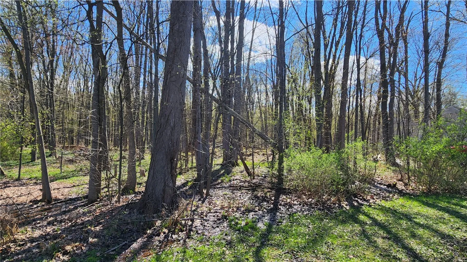 Property at Straub Road, Greece, NY 14626 2