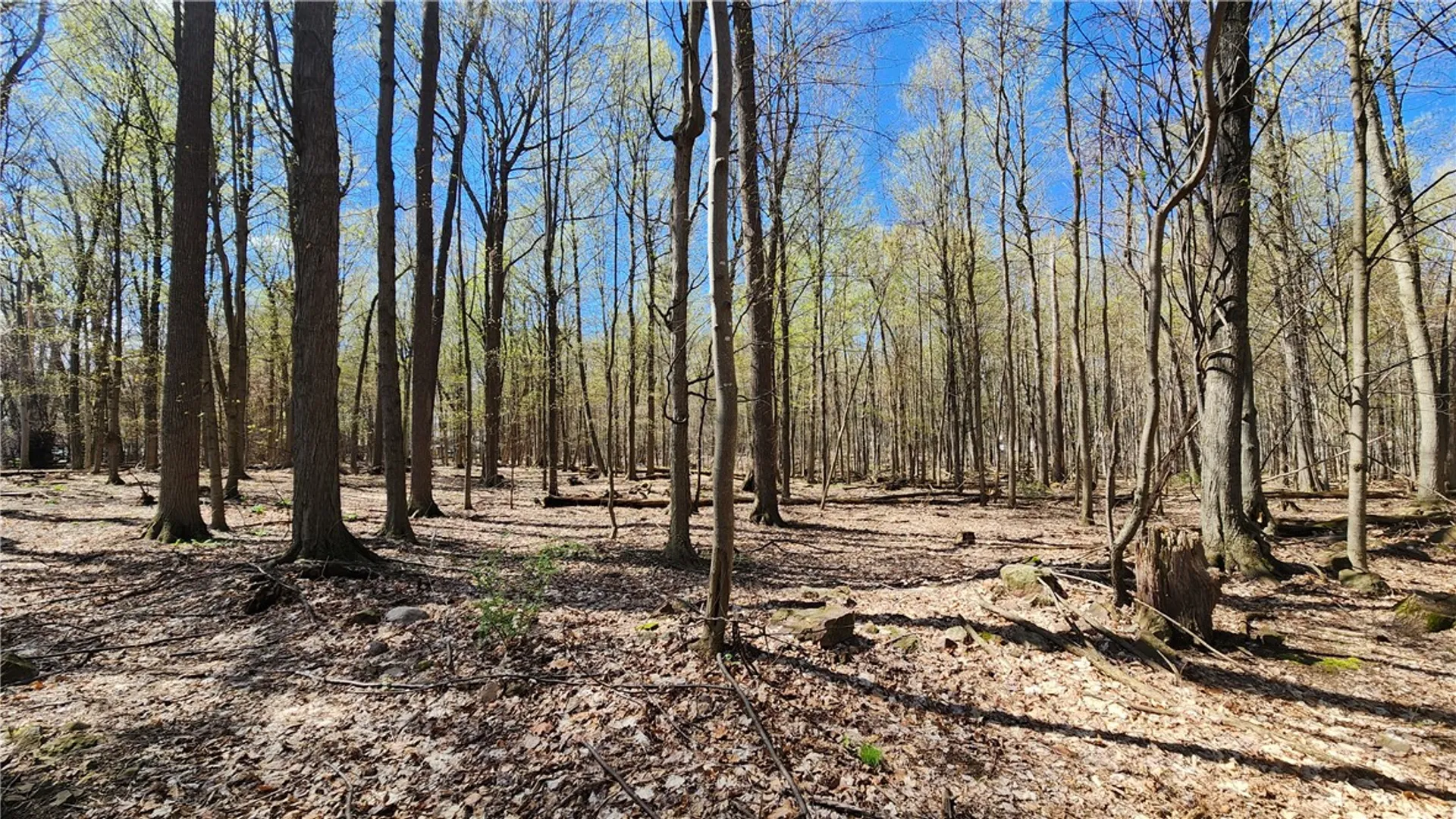 Property at Straub Road, Greece, NY 14626 3
