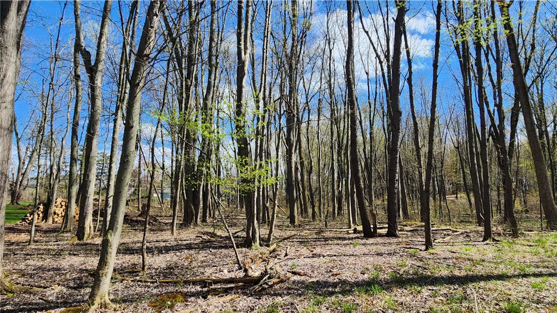 Property at Straub Road, Greece, NY 14626 4