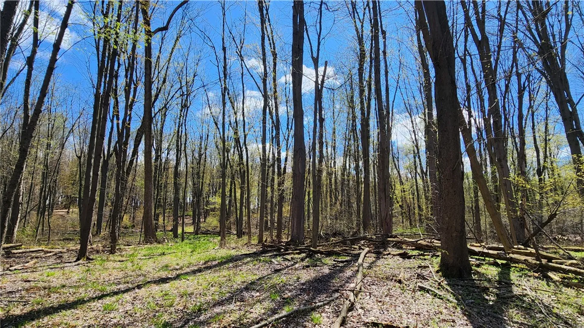 Property at Straub Road, Greece, NY 14626 5