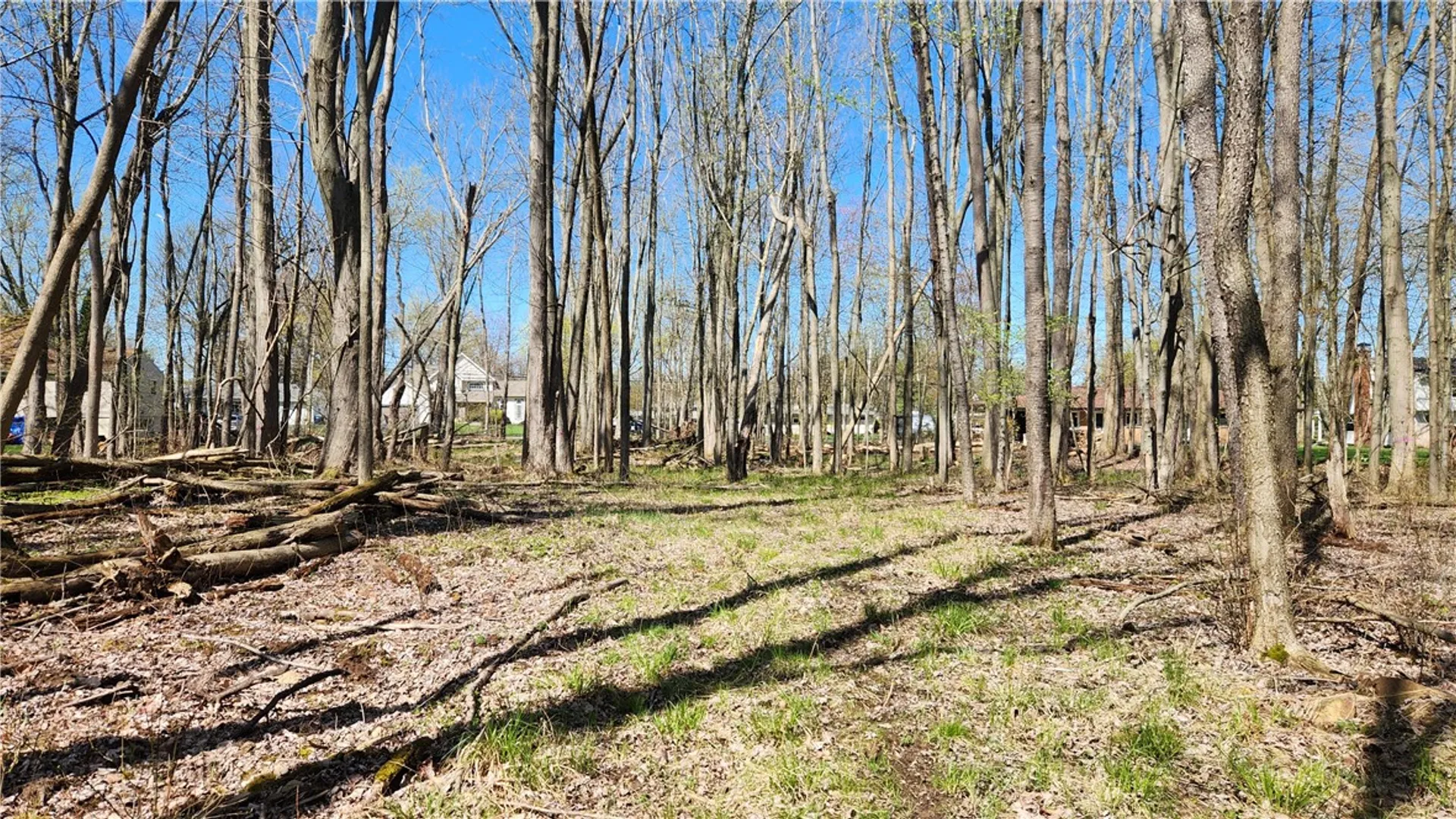 Property at Straub Road, Greece, NY 14626 6
