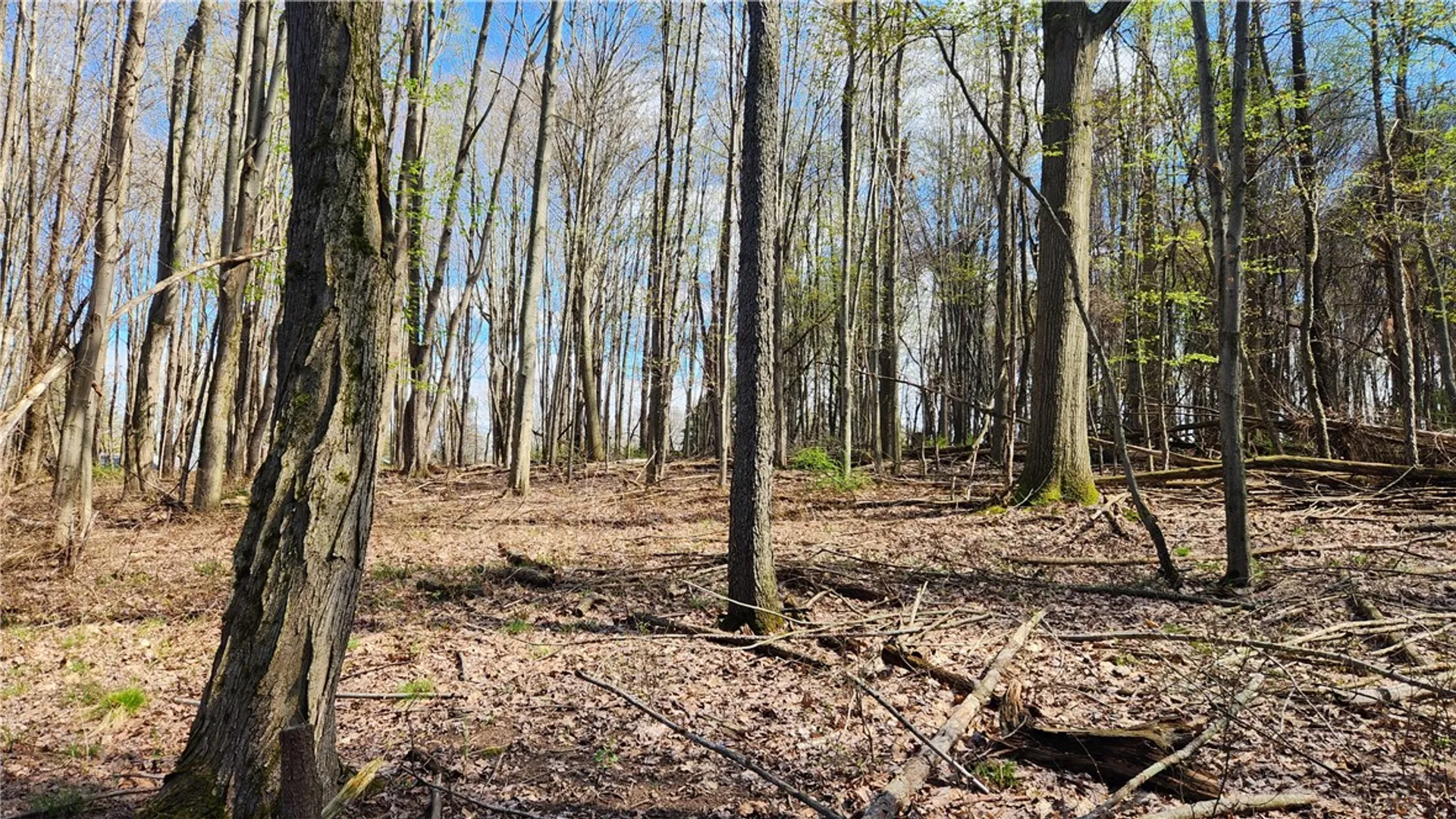 Property at Straub Road, Greece, NY 14626 7