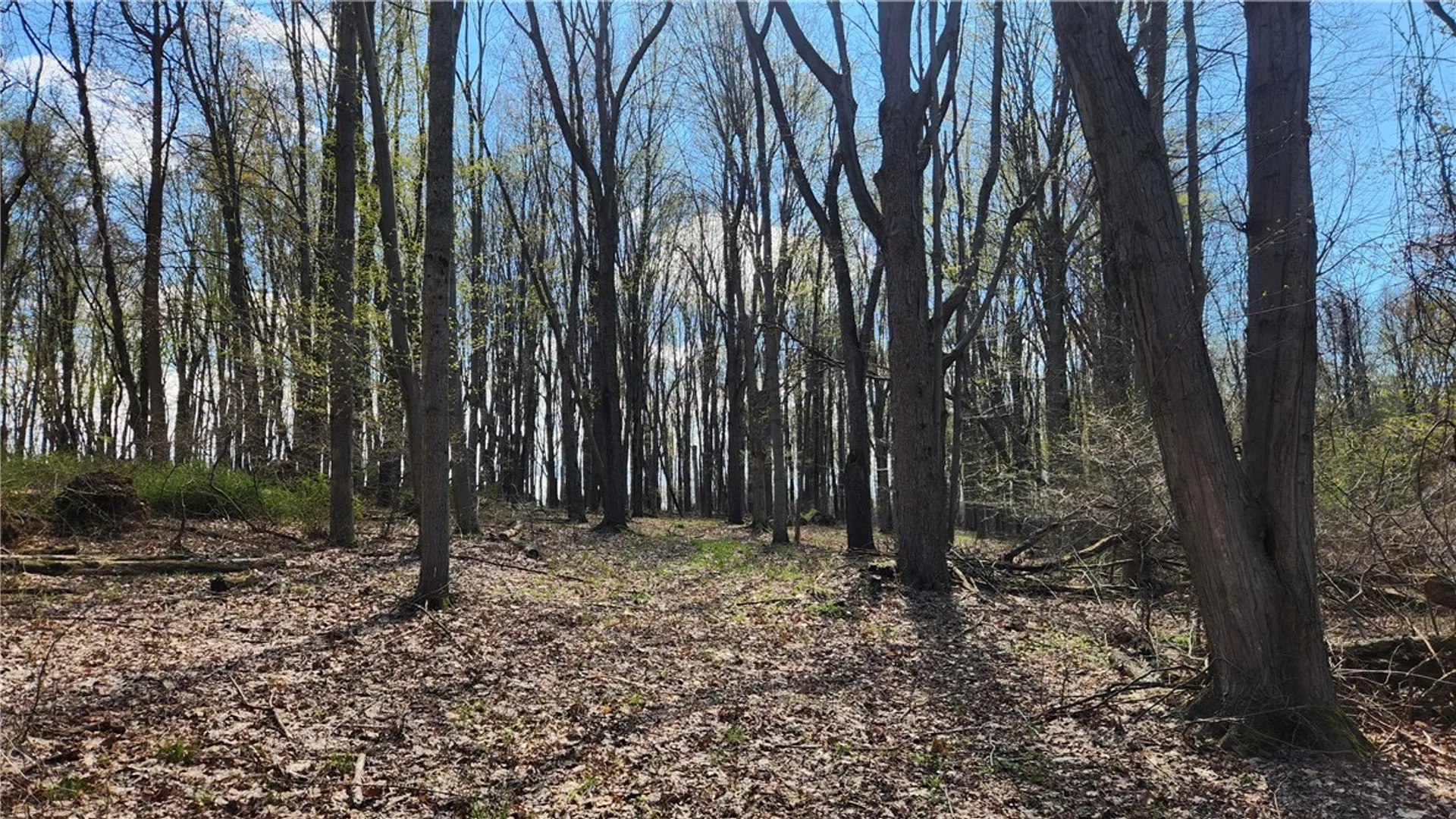 Property at Straub Road, Greece, NY 14626 8