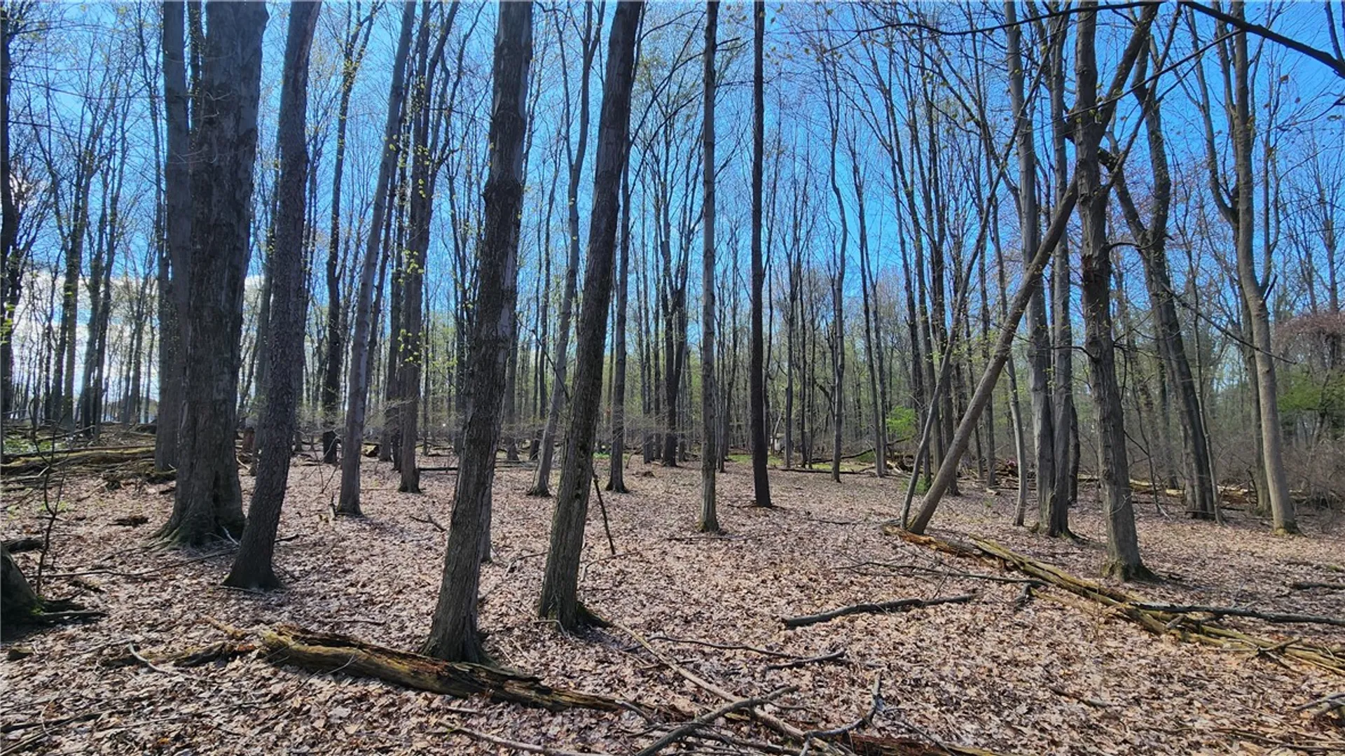 Property at Straub Road, Greece, NY 14626 9