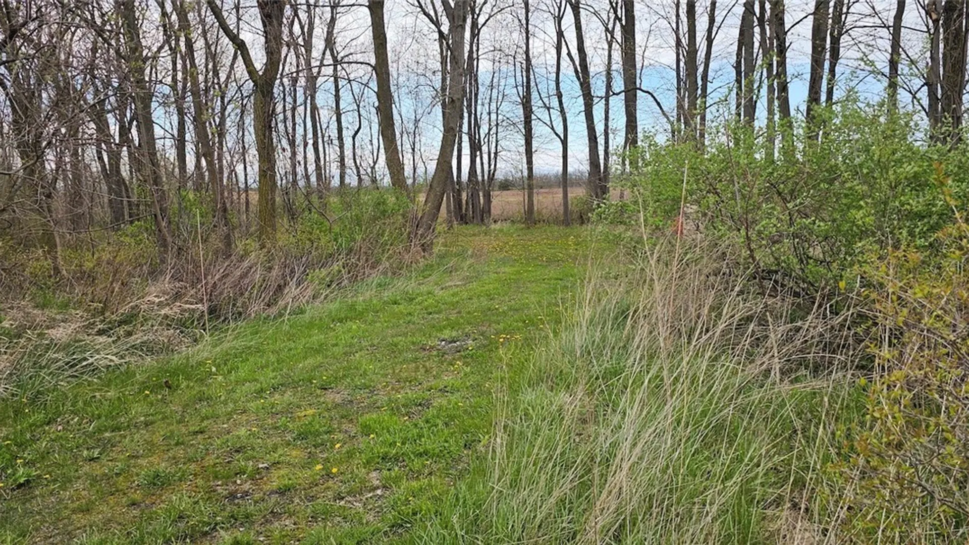 Property at 7500 County Road 131, Ovid, NY 14521 10