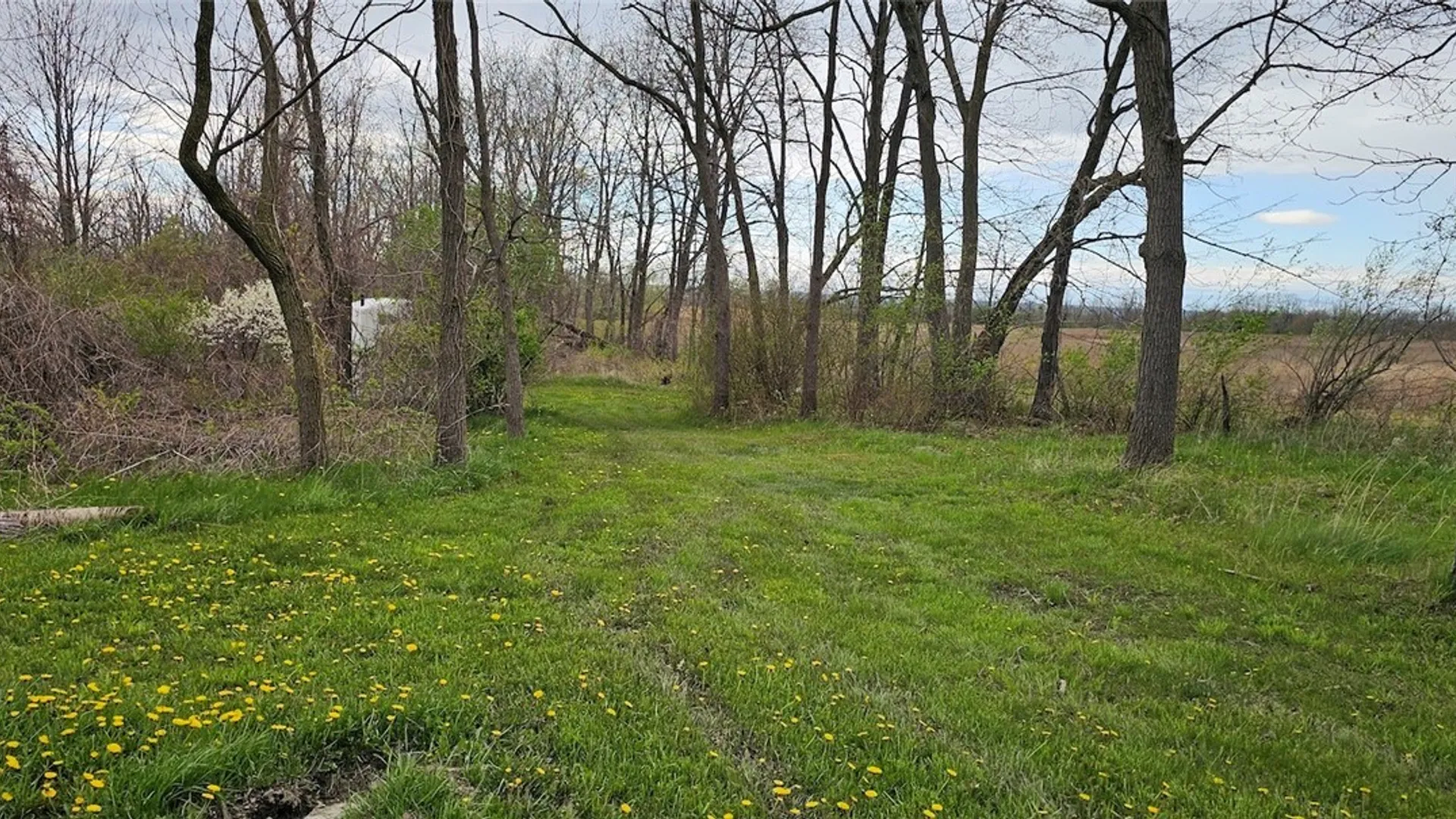 Property at 7500 County Road 131, Ovid, NY 14521 11