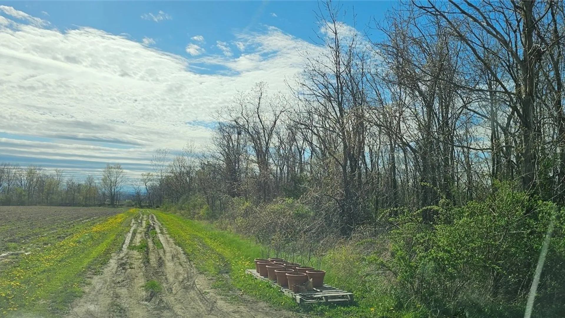 Property at 7500 County Road 131, Ovid, NY 14521 13