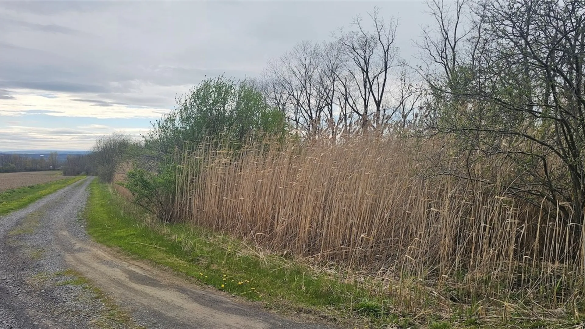 Property at 7500 County Road 131, Ovid, NY 14521 15
