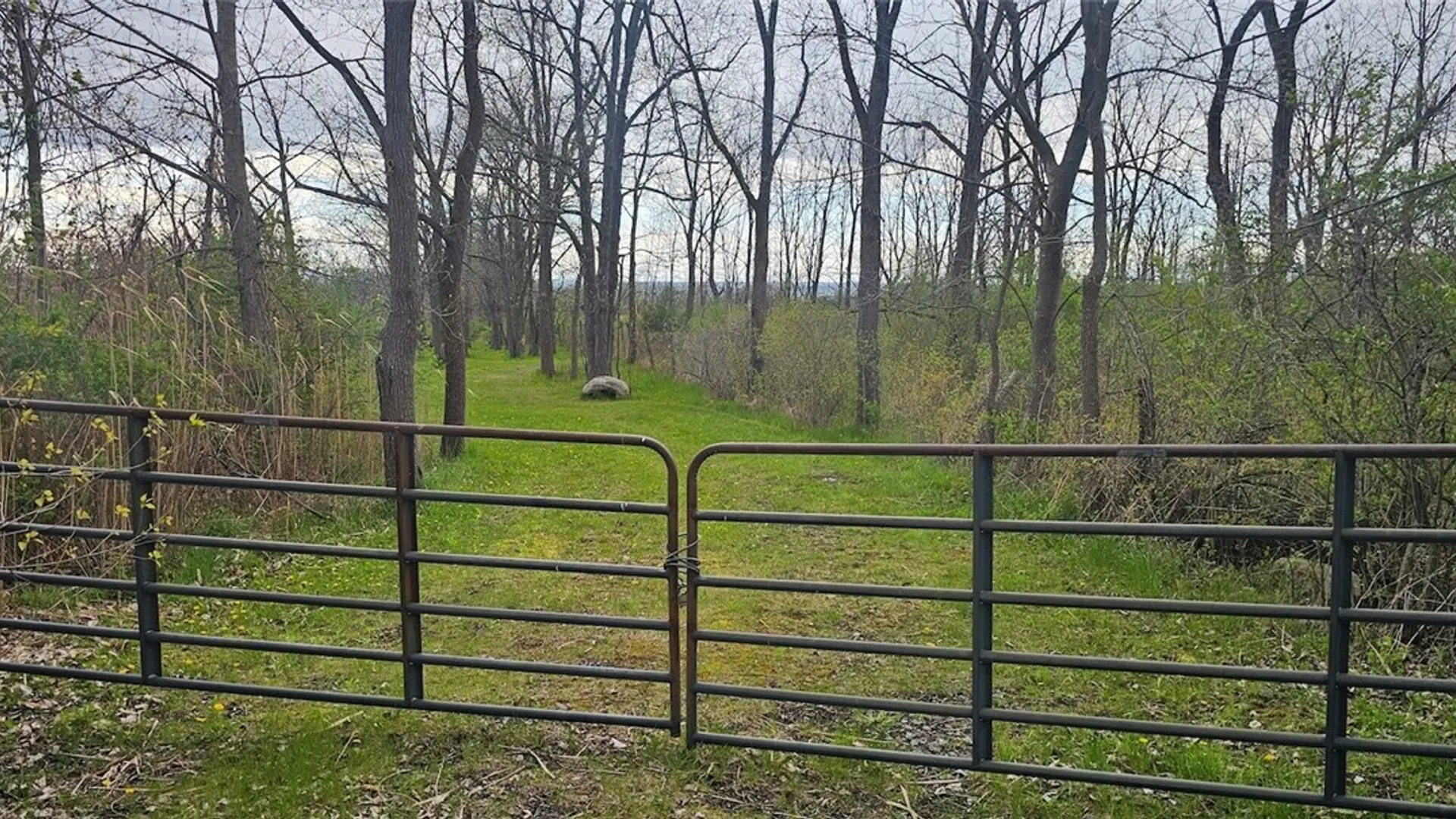 Property at 7500 County Road 131, Ovid, NY 14521 7