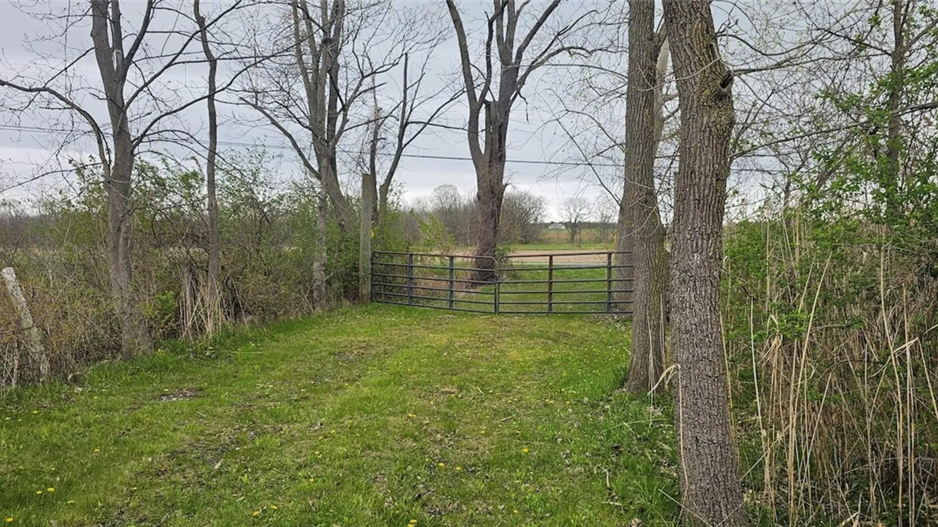 Property at 7500 County Road 131, Ovid, NY 14521 8