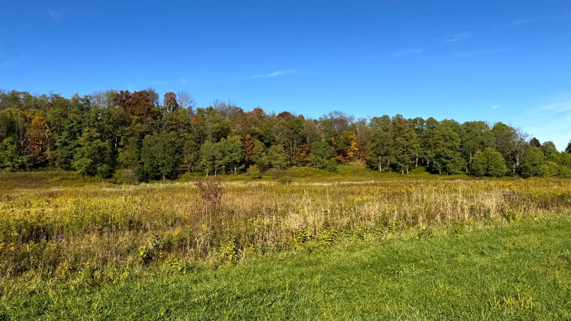 Property at 1.2 County Road 29, New Berlin, NY 13411 10