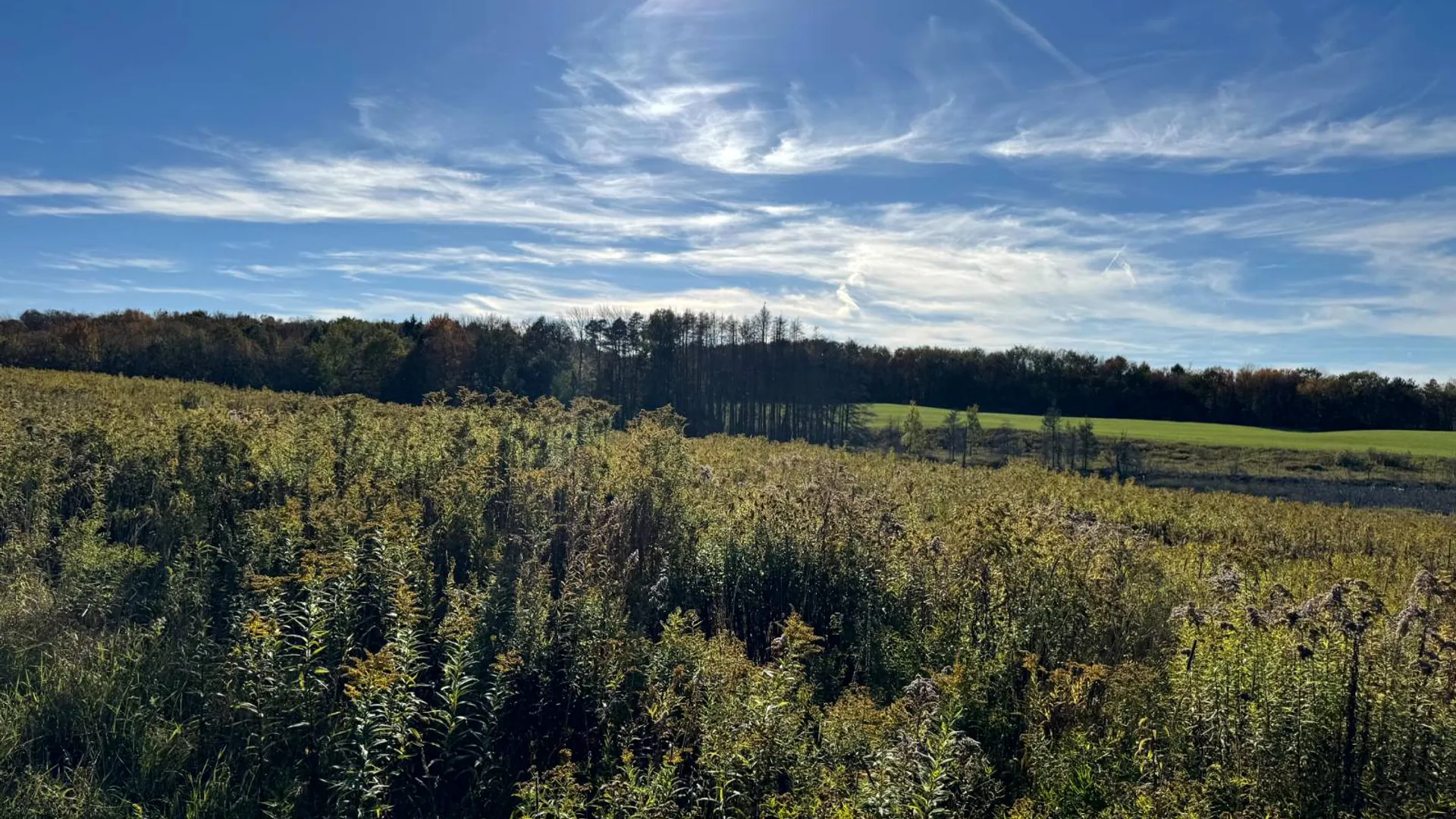 Property at 1.2 County Road 29, New Berlin, NY 13411 11