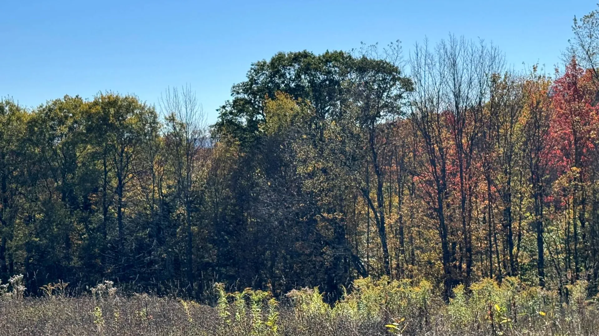 Property at 1.2 County Road 29, New Berlin, NY 13411 13